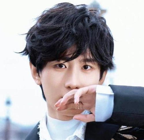 成毅家世爆料视频大全,成毅家世爆料视频大全深度解析