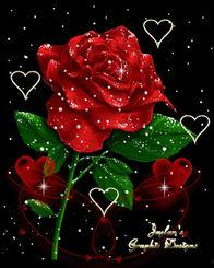 空中玫瑰 在线观看,云端浪漫之旅在线观看指南